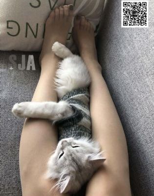成年无码aⅴ片在线观看_高清免费高清观看